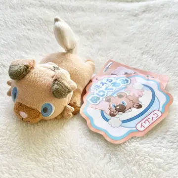 포켓몬 씻을 수 있는 봉제 인형 이완코