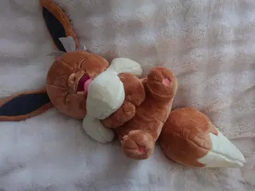 포켓몬 제일복권 이브이 뒤집힌 봉제 인형