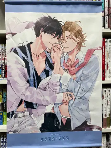 녹아내리는 입술 타카사키 보스코 태피스트리 BL