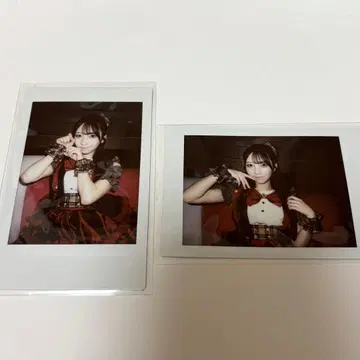 카세 마이 란체키 가을 의상