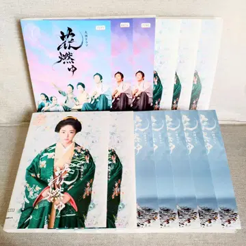 대하 드라마 꽃타오르다 [ DVD ] 13권 세트