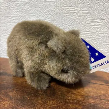 호주 웜뱃 봉제 인형