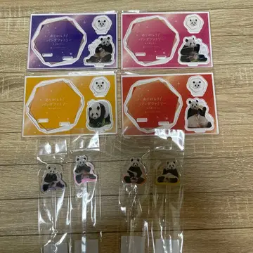 어드벤처 월드 팬더 컴플리트 패밀리 한정판