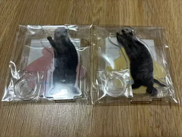 캡슐 복권 x 토바 수족관 랏코의 메이짱 복권 리턴즈!