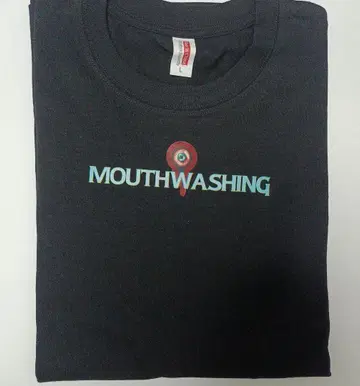 Mousewashing T셔츠 L