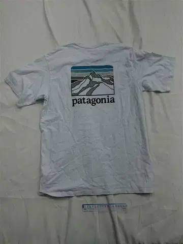 파타고니아 남성용 STY38511SP21 화이트 계열 T셔츠 남성용