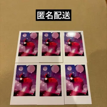 이레우스 실사 폴라로이드 2025 리우라 3