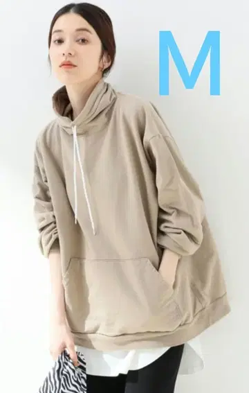 SLOBE IENA 스타 앤 스트라이프 롱넥 스웨트 M