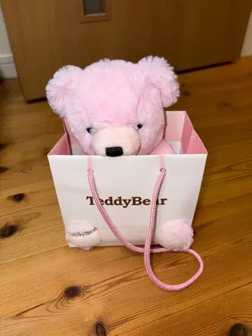TeddyBear 핑크 테디베어와 목걸이 세트