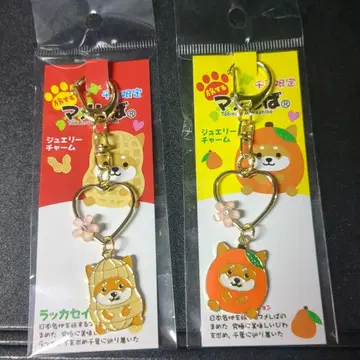 여행하는 마메시바 치바 한정판 땅콩 비와 주얼리 참 세트