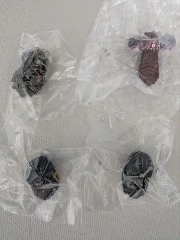 제일복권 고질라 E상 몬스터 헤드 마그넷 풀컴프