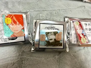 아크릴 배지 컬렉션