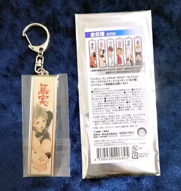 하이큐 메탈 키링 스가와라 코시