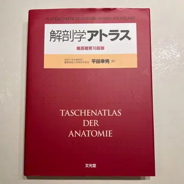 해부학 아틀라스