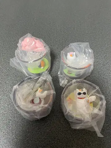 나츠메 우인장 냥코 선생님 사계절 테라리움 가챠 가챠가챠 풀컴프 새상품