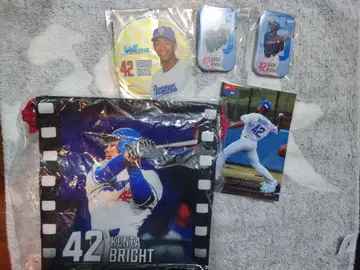 주니치 드래곤즈 브라이트 켄타