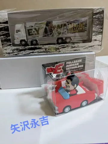 야자와 에이요시 트랜스포머, 미니카