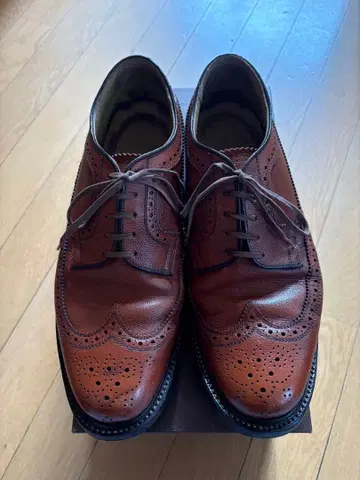 REGAL 임페리얼 그레이 윙팁