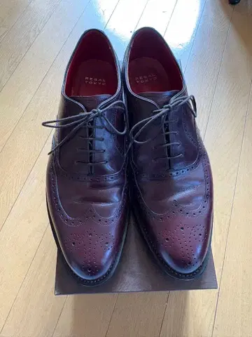 REGAL TOKYO 윙팁 버건디