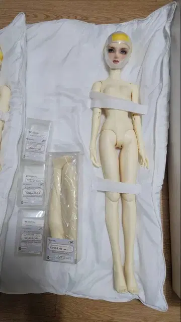 보크스 베르사이유의 장미 SD16 오스칼