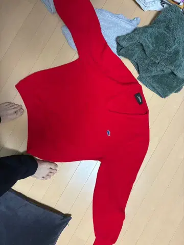 라코스테 빨간색 V넥 스웨터