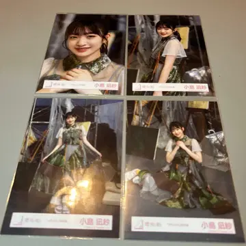 코지마 나기사 사쿠라자카46 브로마이드 마모리비토