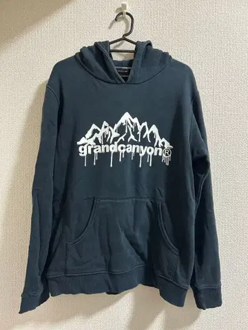 grandcanyon/후디/M 사이즈/구제 의류