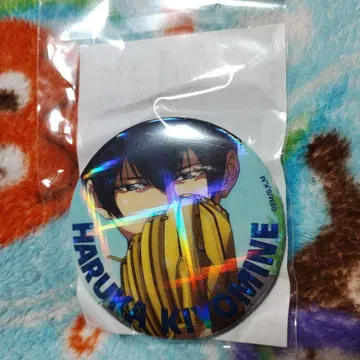 JF2025 망각 배터리 하피쿠로! 호로호로 캔뱃지 청봉엽류화