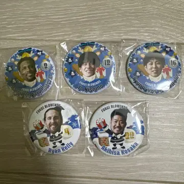 후쿠이 브로윈즈 캔 배지