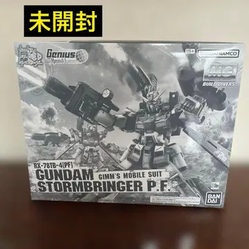 MG 1/100 건담 스톰브링거 P.F.