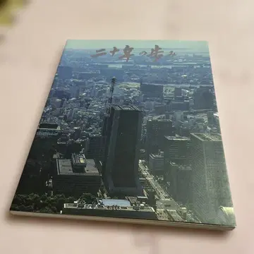 제일흥업은행 20세기 행보 신초샤