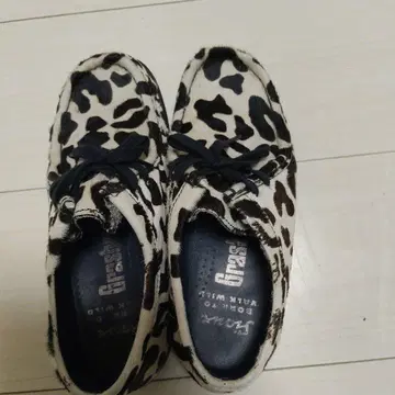 송치 달마시안 패턴 스니커즈