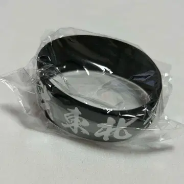 도호쿠 라이브 하우스 대작전 러버 밴드