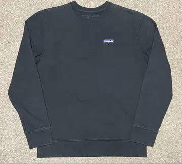 Patagonia 속기모 맨투맨 트레이닝복 STY39543 FA19