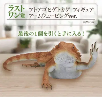 비어디드래곤 피규어 제일복권 파충류&양서류 라스트 원상