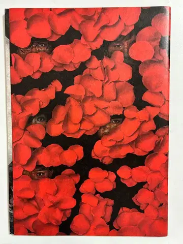 라이치 히카리 클럽 재연 팜플렛