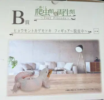 제일복권 파충류&양서류 B상 탈피 중 피규어 상자 없음