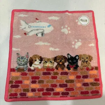 페이 피핑 리틀 스카이 핑크