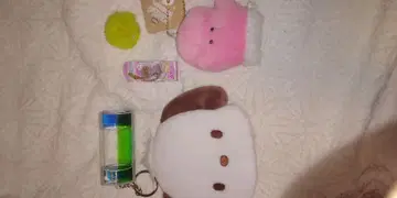 미니 캐릭터 봉제 인형과 산리오 케이스