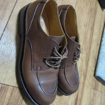 giotto 지오토 U 칩 브라운