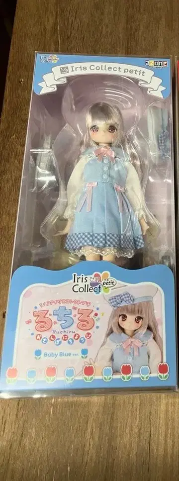 아존 아이리스 콜렉트 푸치 루치루 산책 일요일