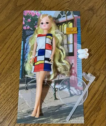 리카짱 해시태그 레이디 레트로 27cm 인형 인형 본체