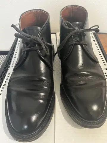 레드윙 캐버리 차카 9096 9.5D 블랙 단종품