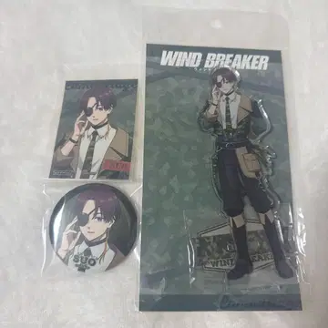 WIND BREAKER 스오우 하야토