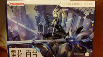 rosado Project RS-3 별꽃 릴리 MK3