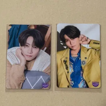 하시모토 마사오 하라 요시타카 timelesz 트레이딩 카드