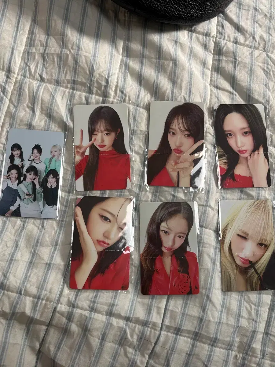 파파존스 아이브 포토카드 세트