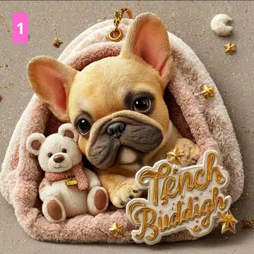 플랫 파우치 오더 접수 페이지