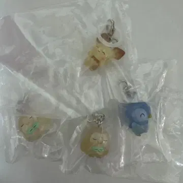 포켓몬 메지루시 액세서리