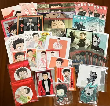 [처분] 괴수 8호 히비노 카프카 캔뱃지 아크릴 키링 엽서 세트